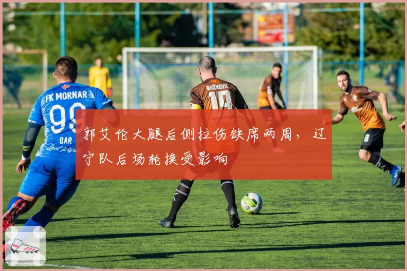 郭艾伦大腿后侧拉伤缺席两周，辽宁队后场轮换受影响