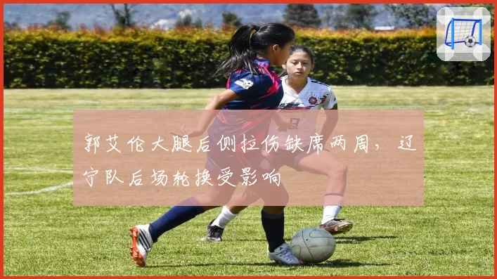 郭艾伦大腿后侧拉伤缺席两周，辽宁队后场轮换受影响