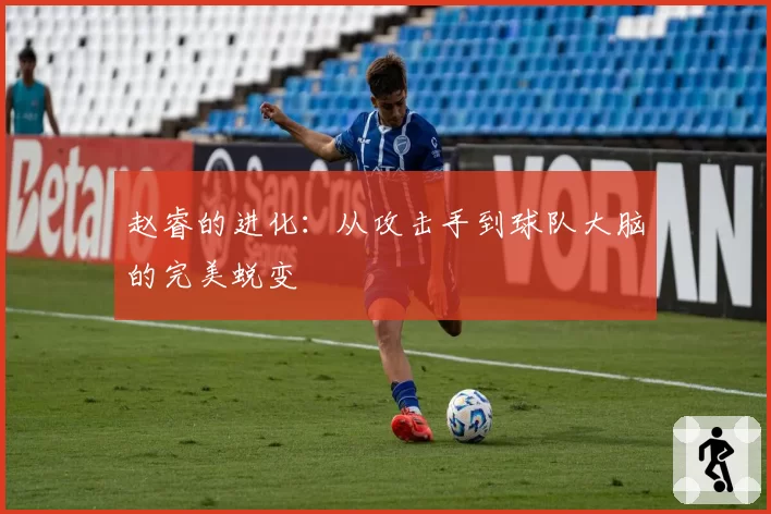 赵睿的进化:从攻击手到球队大脑的完美蜕变