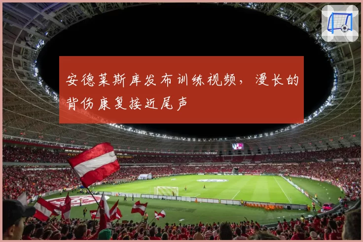 安德莱斯库发布训练视频，漫长的背伤康复接近尾声